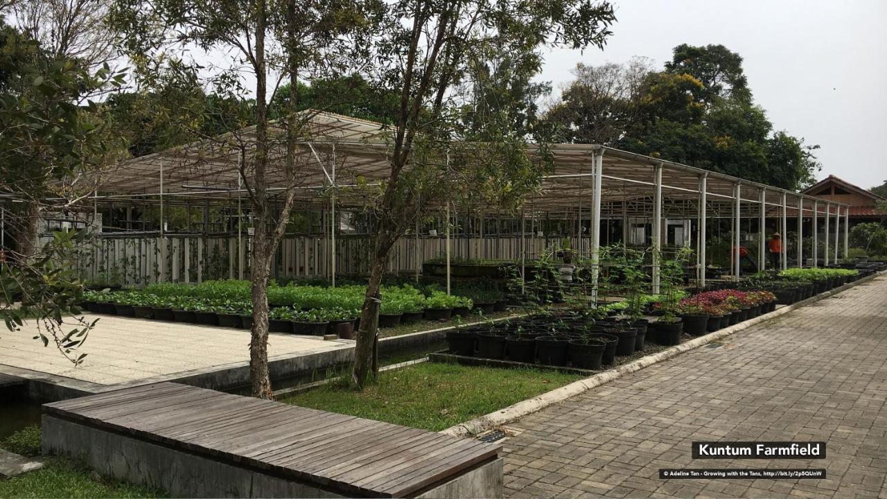 Hotel Rumah Bogor